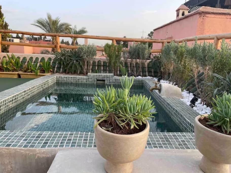Riad Ptit Kech, Bassin Terrasse - Petits Dejeuners Marrakesh Ngoại thất bức ảnh